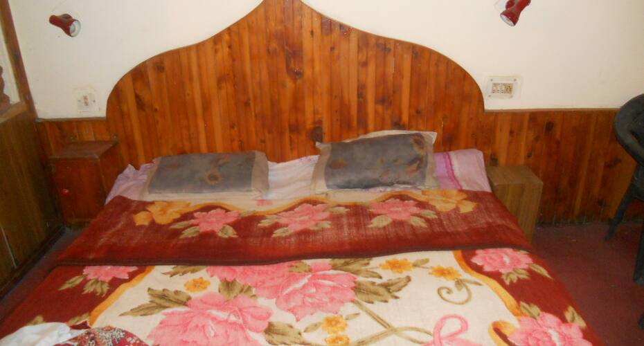 Hotel Catrit Manali, Manali 4